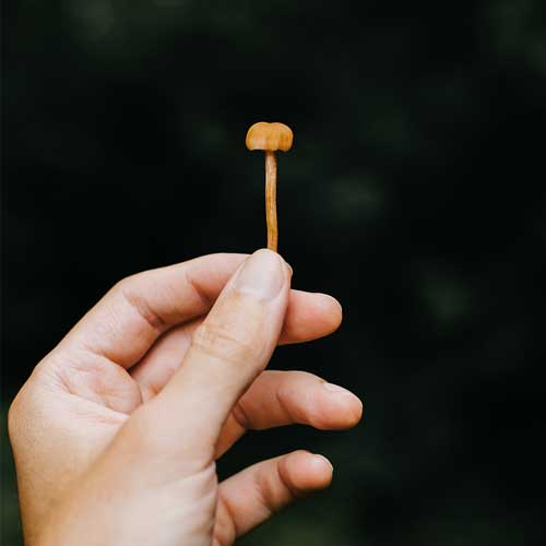 Psilocybin microdosers demonstrate greater observed improvements in mood and mental health at one month relative to non-microdosing controls